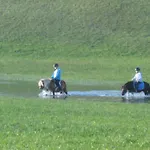 Haus Hödlmoser Frühstückspension Saint Wolfgang