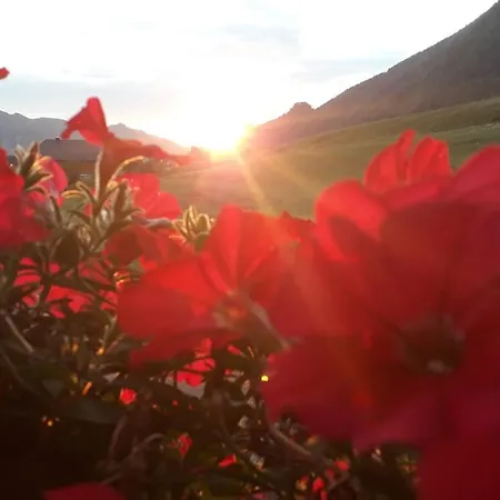 Haus Hödlmoser Frühstückspension