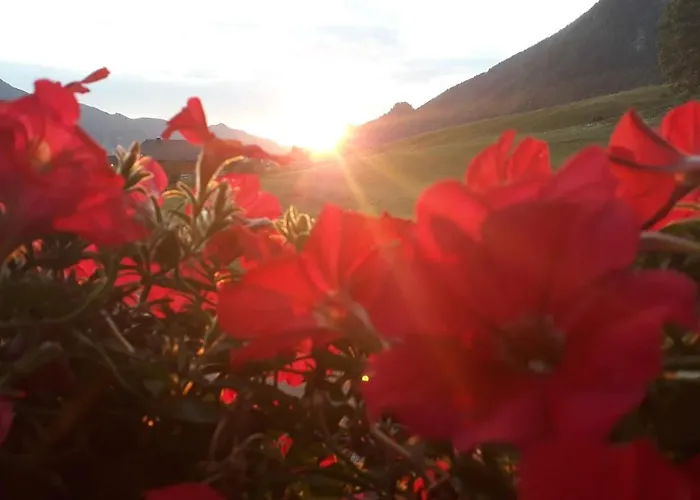 Haus Hoedlmoser Bed & Breakfast