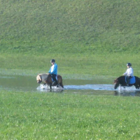 Haus Hoedlmoser Bed and Breakfast Saint Wolfgang